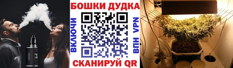Канабис гибрид mega вход Бирск наркота
